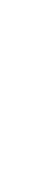 vector 